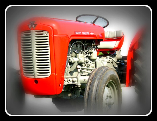 download Massey Ferguson MF35 tractor workshop manual