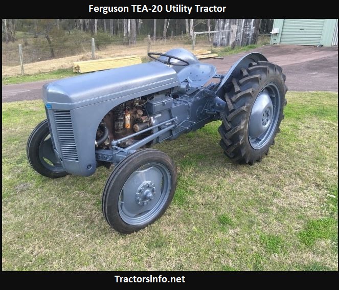 download Massey Ferguson TE20 tractor workshop manual